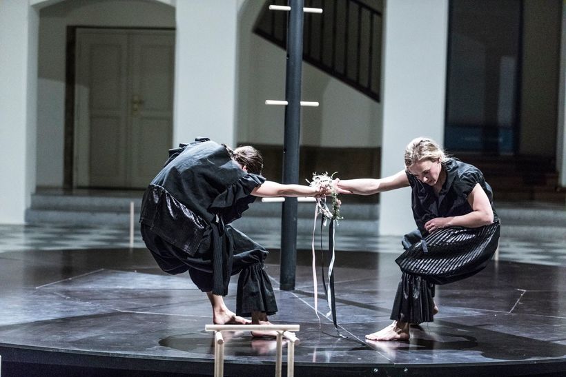 Vrány. Photo: Dita Havránková.